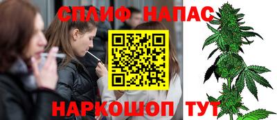 прущие крисы Моздок