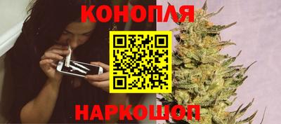 прущие крисы Моздок
