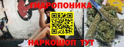 прущие крисы Моздок