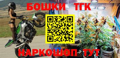 прущие крисы Моздок