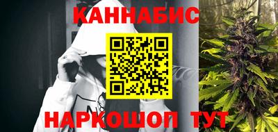 прущие крисы Моздок