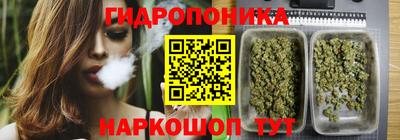 гидропоника Можайск