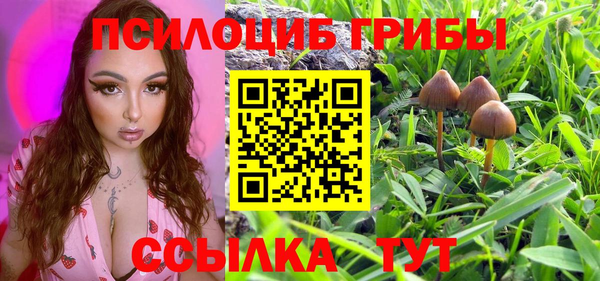 Галлюциногенные грибы Magic Shrooms  Вход с VPN  Ачинск 